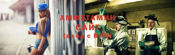 ПСИЛОЦИБИНОВЫЕ ГРИБЫ Горняк