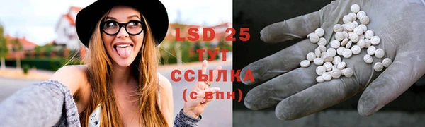 ПСИЛОЦИБИНОВЫЕ ГРИБЫ Горняк