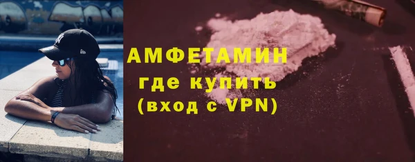 ПСИЛОЦИБИНОВЫЕ ГРИБЫ Горняк
