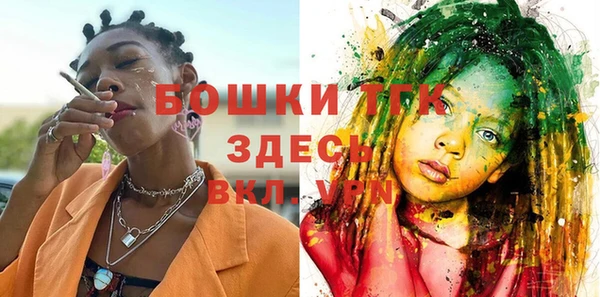 ПСИЛОЦИБИНОВЫЕ ГРИБЫ Горняк