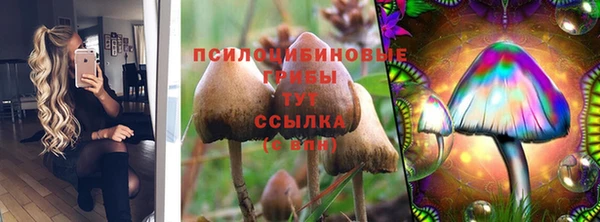 дурь Гусь-Хрустальный