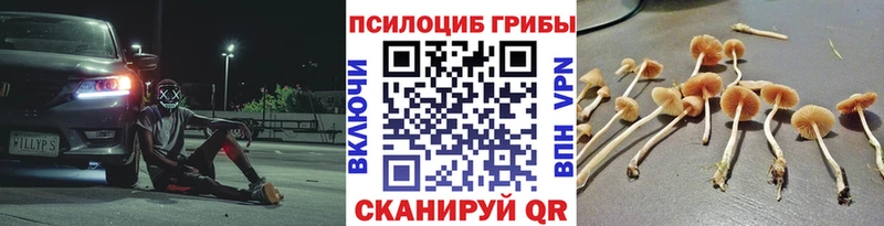 Галлюциногенные грибы Magic Shrooms Мантурово